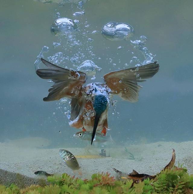 daily picdump 99 pics 5.html - 99 HD Photos | Premium Gallery 2018