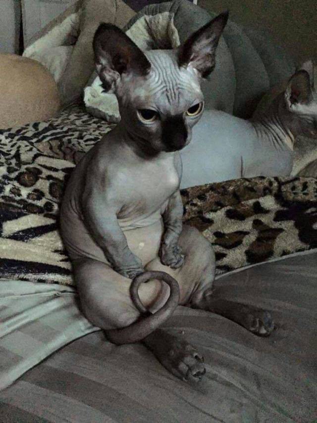 daily picdump 99 pics 5.html - 99 HD Photos | Premium Gallery 2018