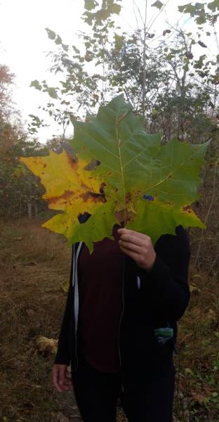 morning picdump 50 pics 1.html - 50 HD Photos | Premium Gallery 2018