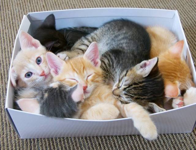 daily picdump weekend edition 69 pics 2.html - 69 HD Photos | Premium Gallery 2018