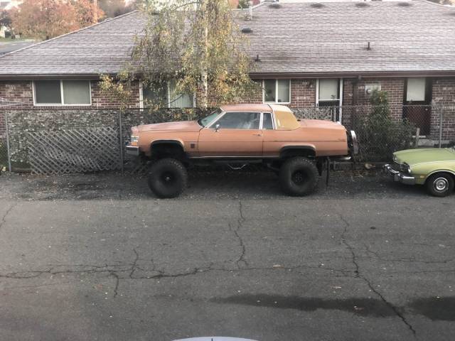 daily picdump weekend edition 69 pics 2.html - 69 HD Photos | Premium Gallery 2018