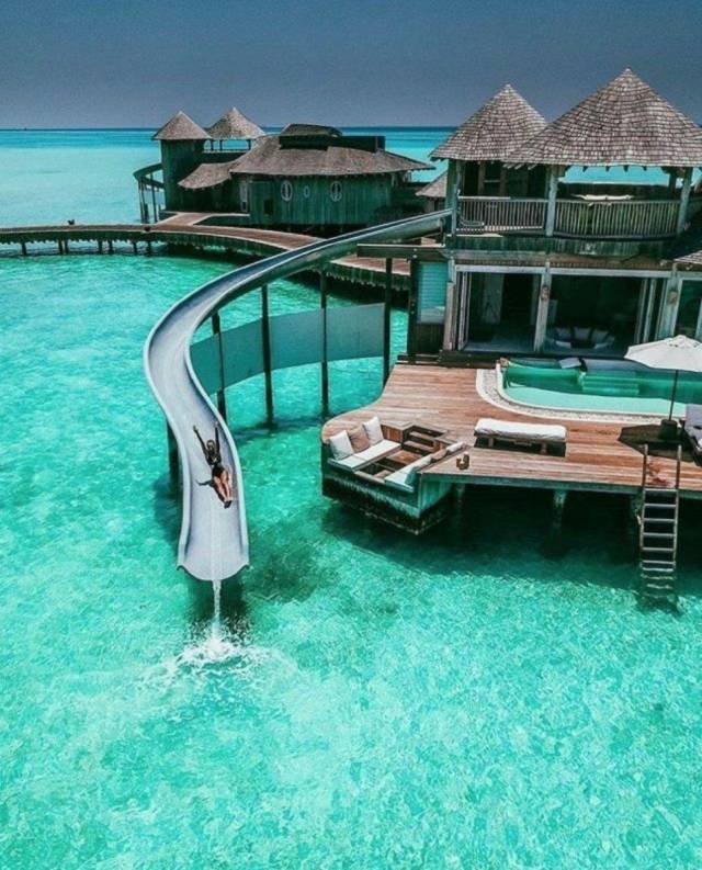 Daily Picdump [WEEKEND EDITION]