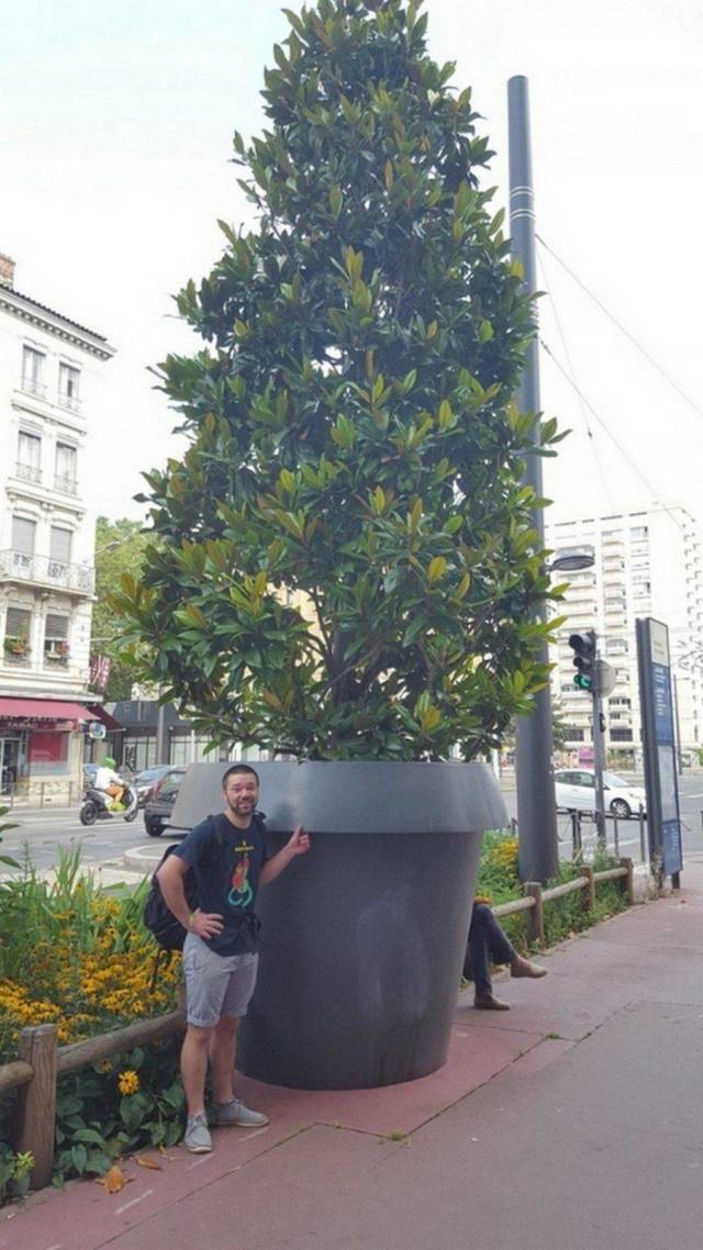 Daily Picdump [WEEKEND EDITION]