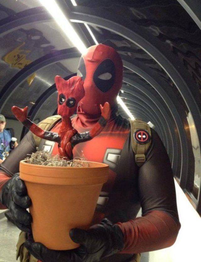 daily picdump weekend edition 69 pics 2.html - 69 HD Photos | Premium Gallery 2018