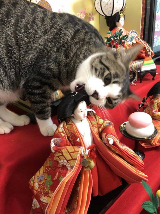 daily picdump weekend edition 69 pics 2.html - 69 HD Photos | Premium Gallery 2018