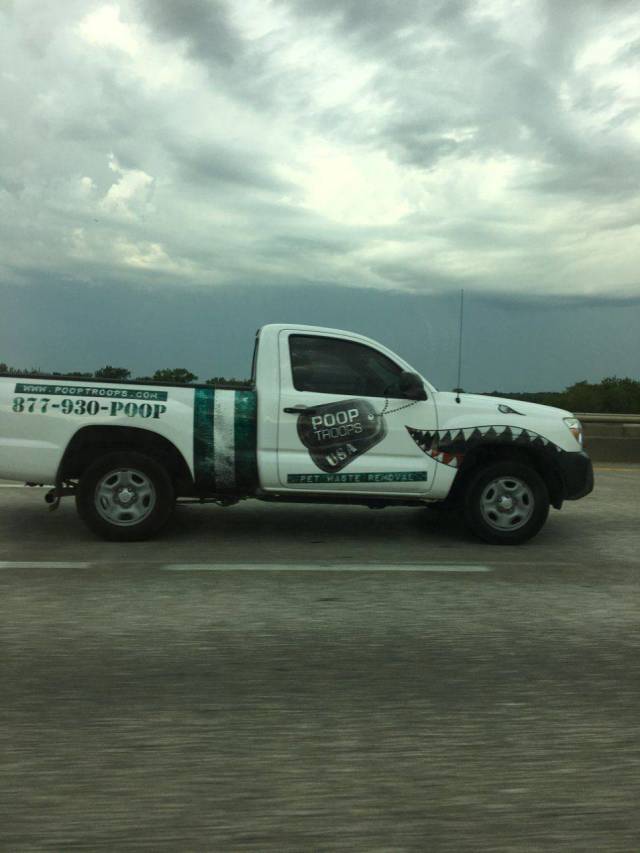 daily picdump weekend edition 69 pics 2.html - 69 HD Photos | Premium Gallery 2018