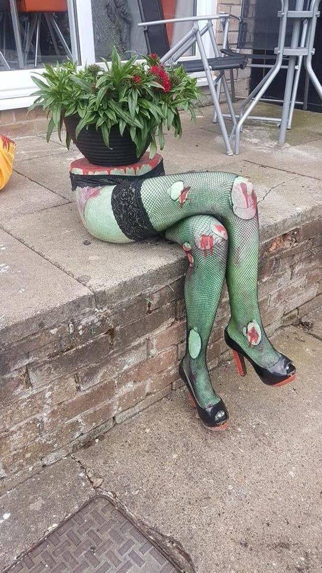 daily picdump weekend edition 69 pics 2.html - 69 HD Photos | Premium Gallery 2018