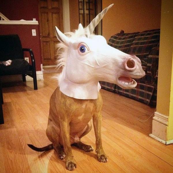 daily picdump 95 pics 44.html - 95 HD Photos | Premium Gallery 2018