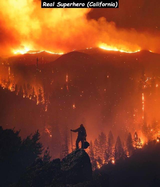 daily picdump 95 pics 44.html - 95 HD Photos | Premium Gallery 2018