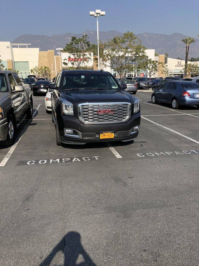 daily picdump 95 pics 44.html - 95 HD Photos | Premium Gallery 2018