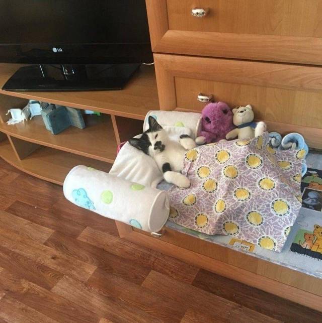 daily picdump 95 pics 44.html - 95 HD Photos | Premium Gallery 2018