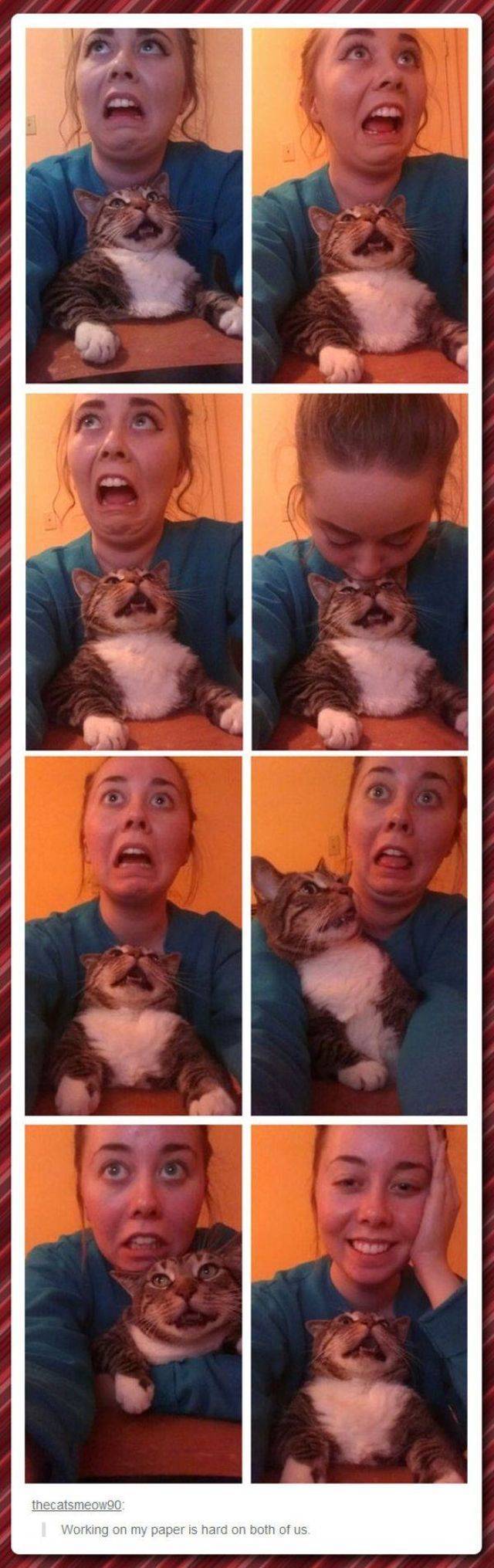 daily picdump 95 pics 44.html - 95 HD Photos | Premium Gallery 2018