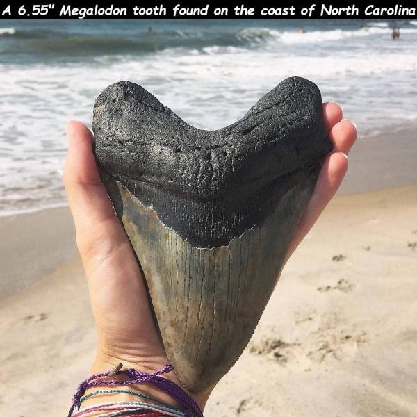 daily picdump 96 pics 38.html - 96 HD Photos | Premium Gallery 2018