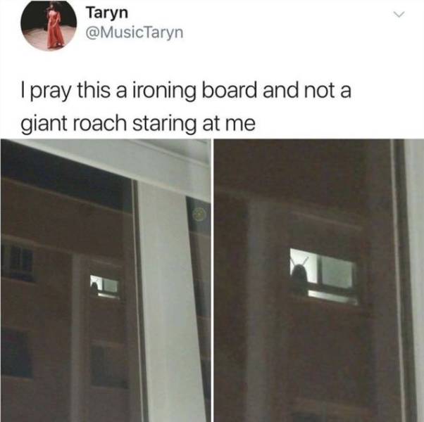 daily picdump 96 pics 38.html - 96 HD Photos | Premium Gallery 2018