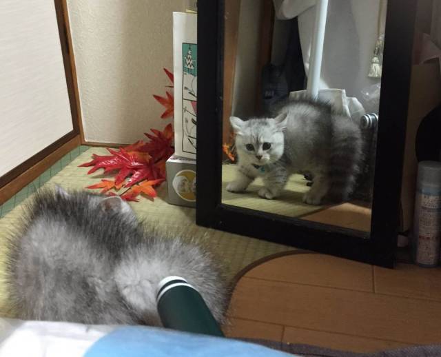 daily picdump 96 pics 38.html - 96 HD Photos | Premium Gallery 2018