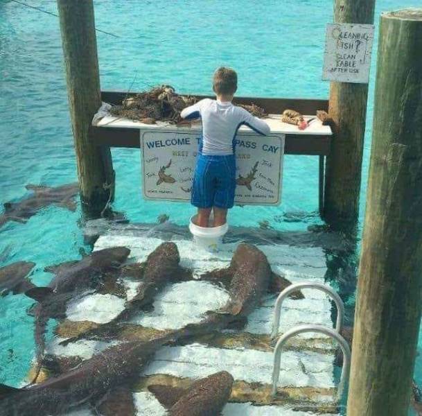 daily picdump 96 pics 38.html - 96 HD Photos | Premium Gallery 2018