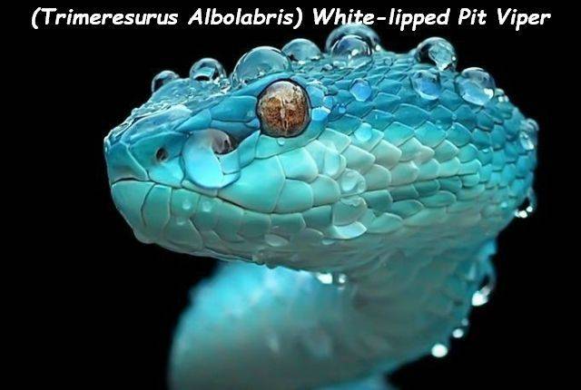 daily picdump 96 pics 38.html - 96 HD Photos | Premium Gallery 2018