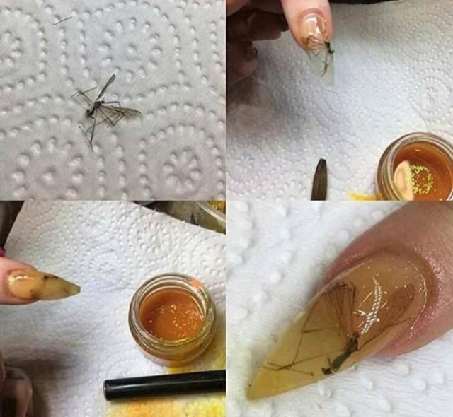 daily picdump 96 pics 38.html - 96 HD Photos | Premium Gallery 2018