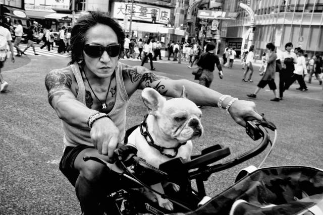 daily picdump 96 pics 38.html - 96 HD Photos | Premium Gallery 2018