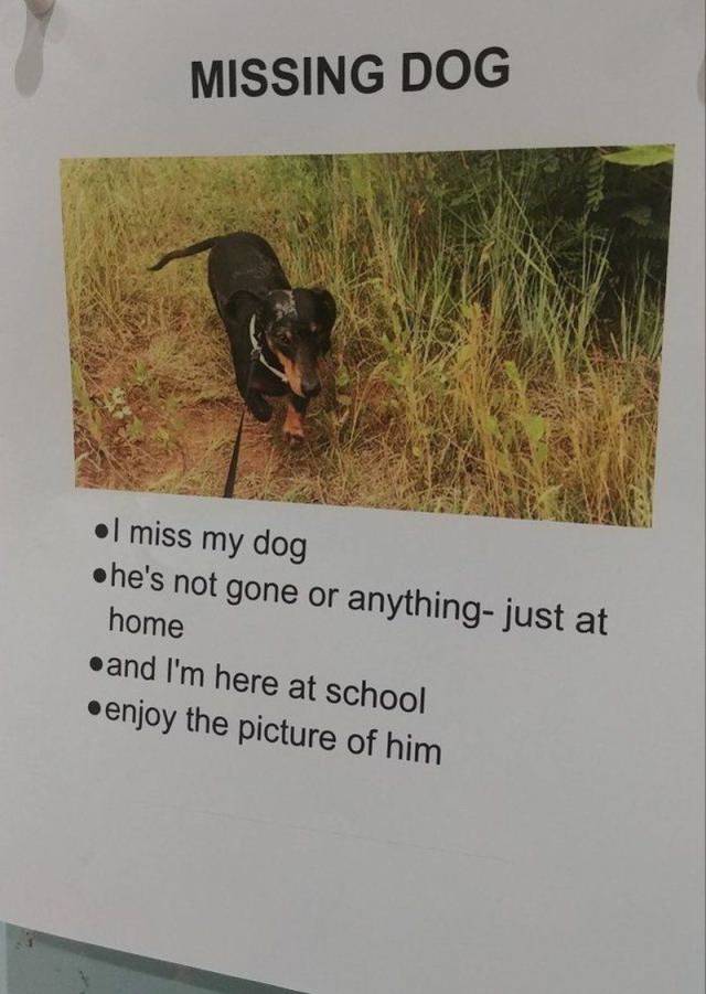 daily picdump 96 pics 38.html - 96 HD Photos | Premium Gallery 2018