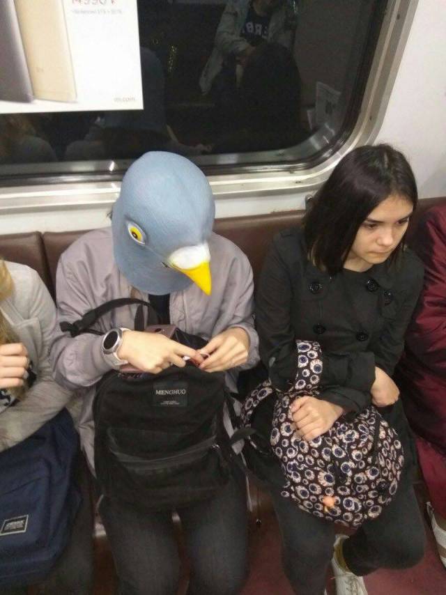 daily picdump 96 pics 38.html - 96 HD Photos | Premium Gallery 2018