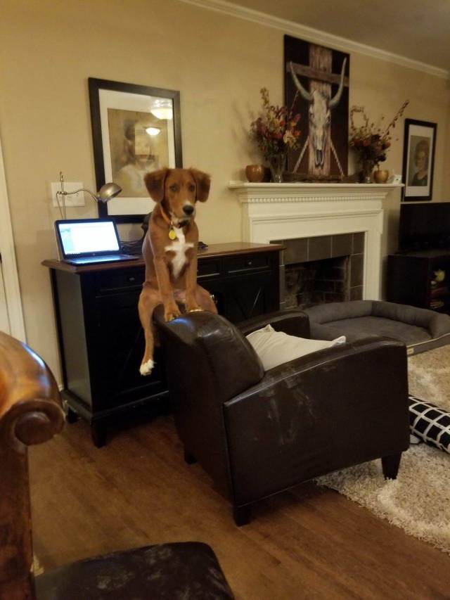 daily picdump 96 pics 38.html - 96 HD Photos | Premium Gallery 2018