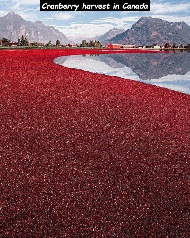 daily picdump 96 pics 38.html - 96 HD Photos | Premium Gallery 2018