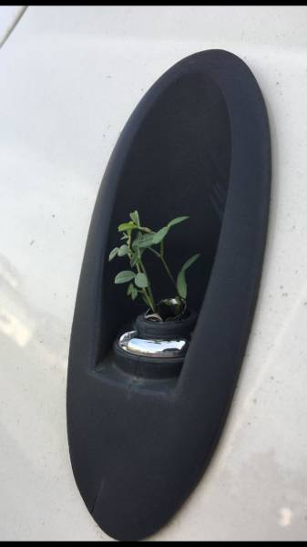 morning picdump 53 pics 15.html - 53 HD Photos | Premium Gallery 2018