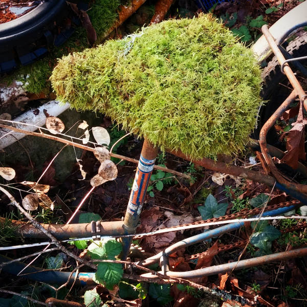 morning picdump 53 pics 15.html - 53 HD Photos | Premium Gallery 2018