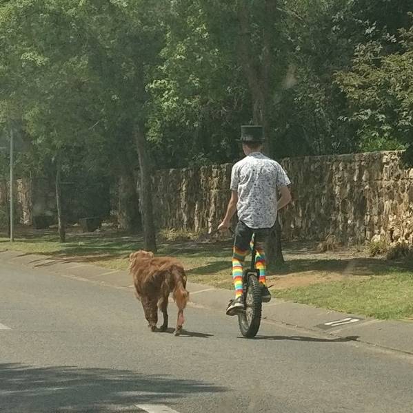 morning picdump 53 pics 15.html - 53 HD Photos | Premium Gallery 2018