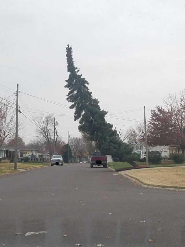 morning picdump 53 pics 15.html - 53 HD Photos | Premium Gallery 2018