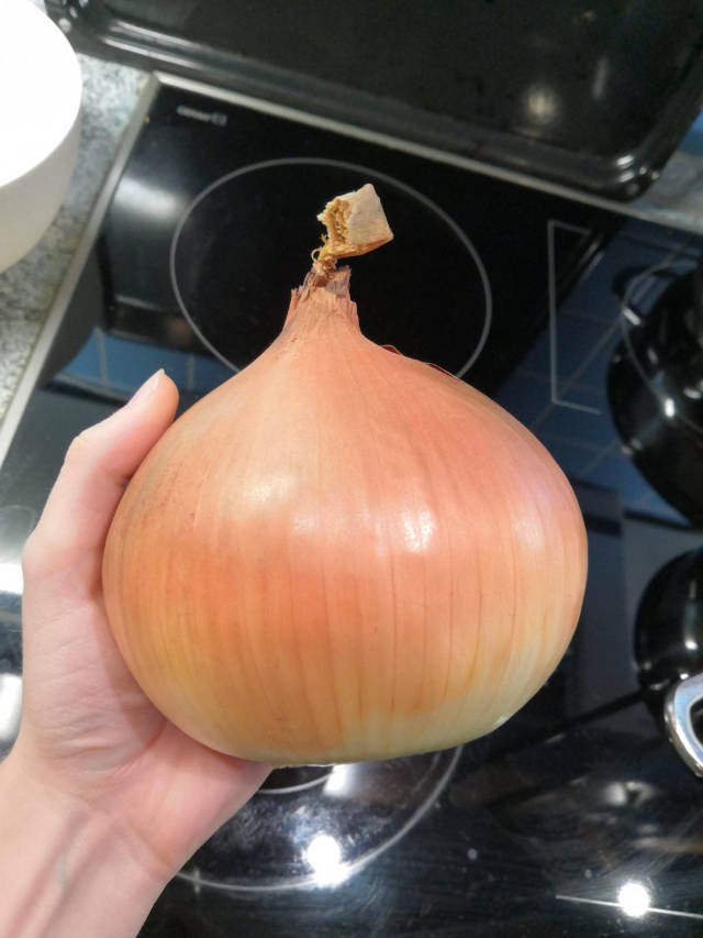 morning picdump 53 pics 15.html - 53 HD Photos | Premium Gallery 2018