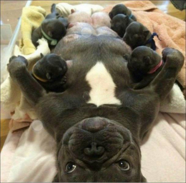 daily picdump 97 pics 24.html - 97 HD Photos | Premium Gallery 2018