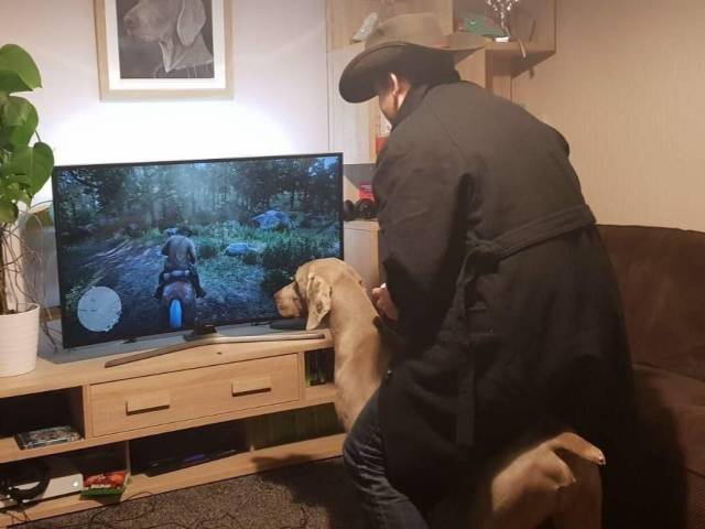 daily picdump 97 pics 24.html - 97 HD Photos | Premium Gallery 2018