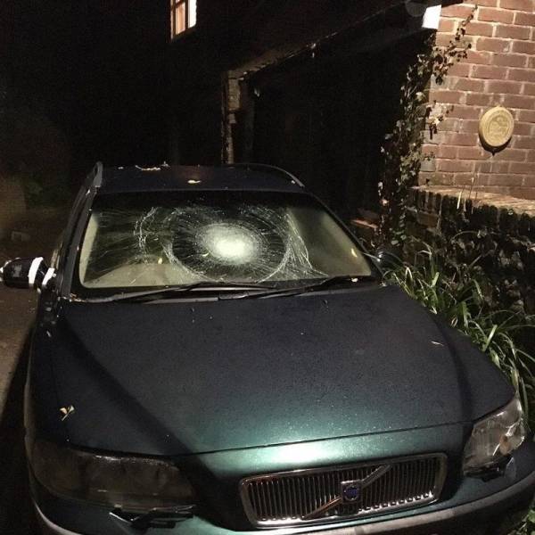 daily picdump 97 pics 24.html - 97 HD Photos | Premium Gallery 2018