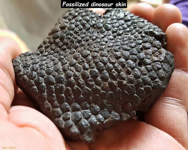 daily picdump 97 pics 24.html - 97 HD Photos | Premium Gallery 2018