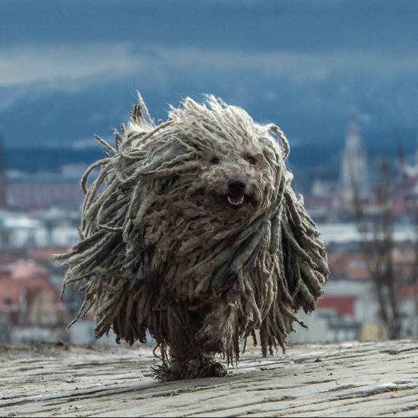 daily picdump 97 pics 24.html - 97 HD Photos | Premium Gallery 2018