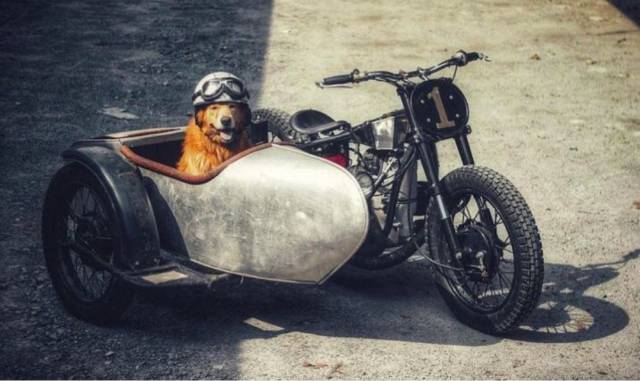 daily picdump 97 pics 24.html - 97 HD Photos | Premium Gallery 2018