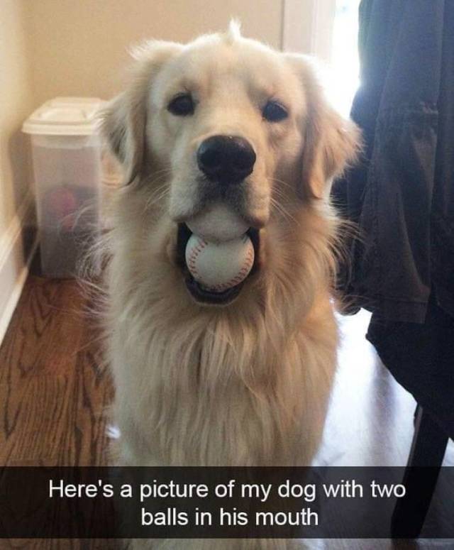 daily picdump 97 pics 24.html - 97 HD Photos | Premium Gallery 2018