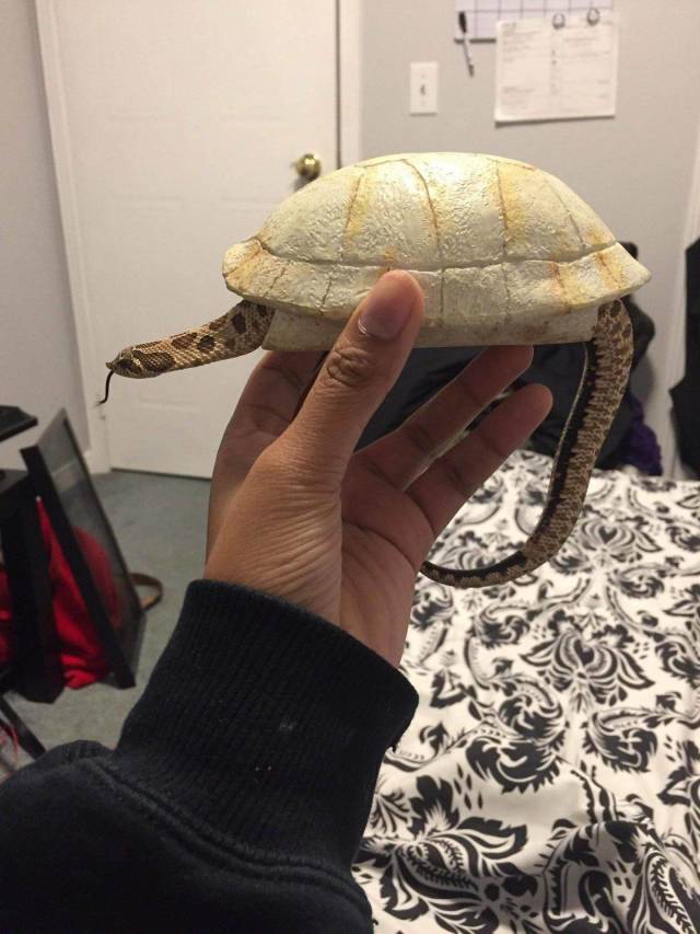 daily picdump 97 pics 24.html - 97 HD Photos | Premium Gallery 2018