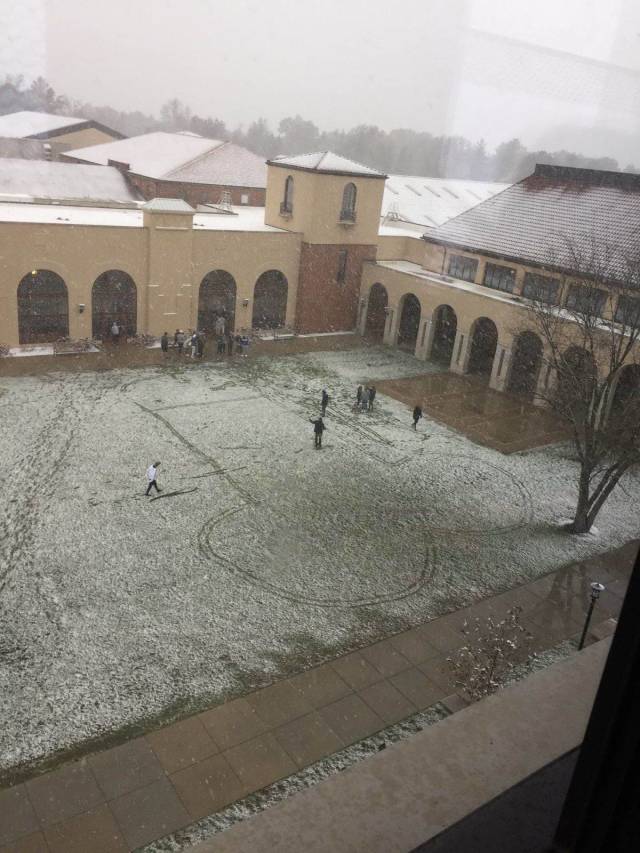 daily picdump 97 pics 24.html - 97 HD Photos | Premium Gallery 2018