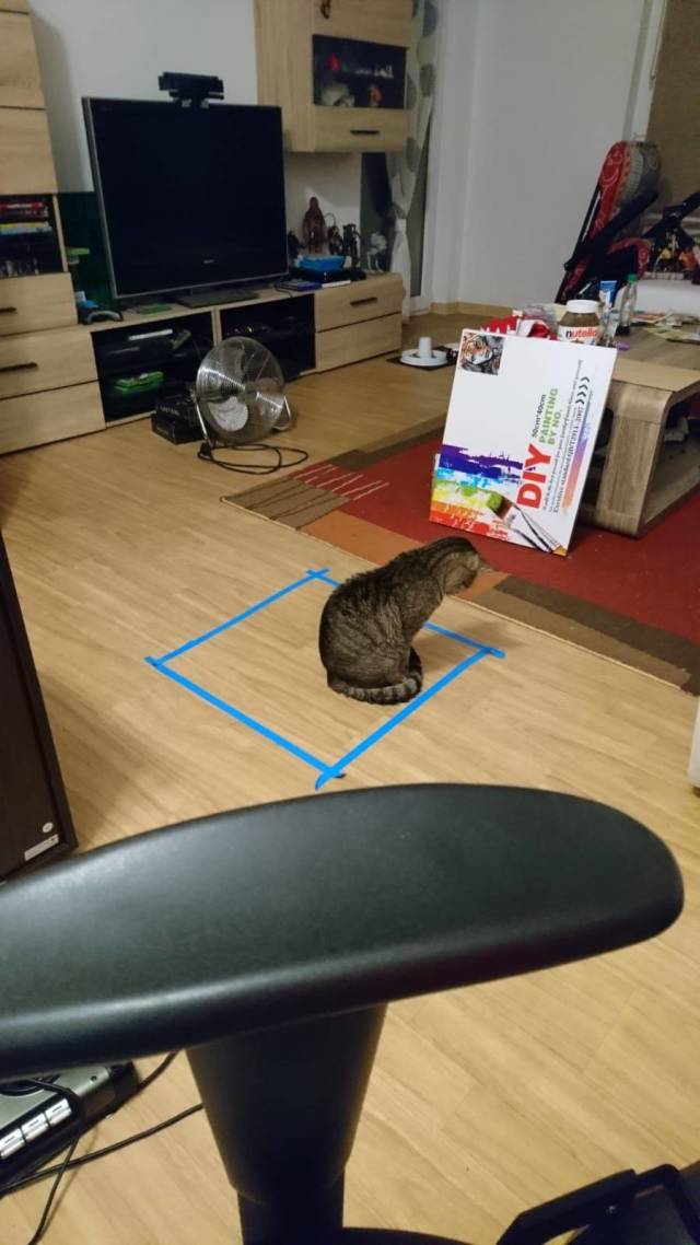 daily picdump 97 pics 24.html - 97 HD Photos | Premium Gallery 2018