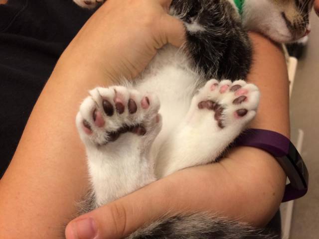 morning picdump 53 pics 47.html - 53 HD Photos | Premium Gallery 2018