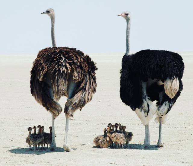 morning picdump 53 pics 47.html - 53 HD Photos | Premium Gallery 2018