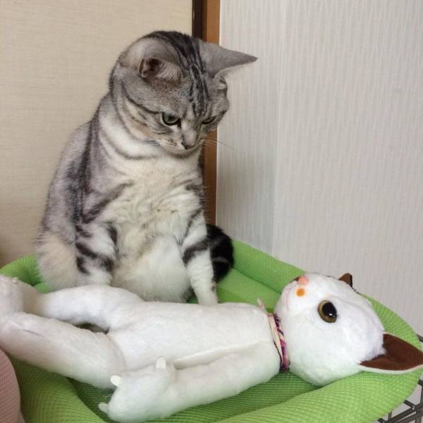 daily picdump 95 pics 38.html - 95 HD Photos | Premium Gallery 2018