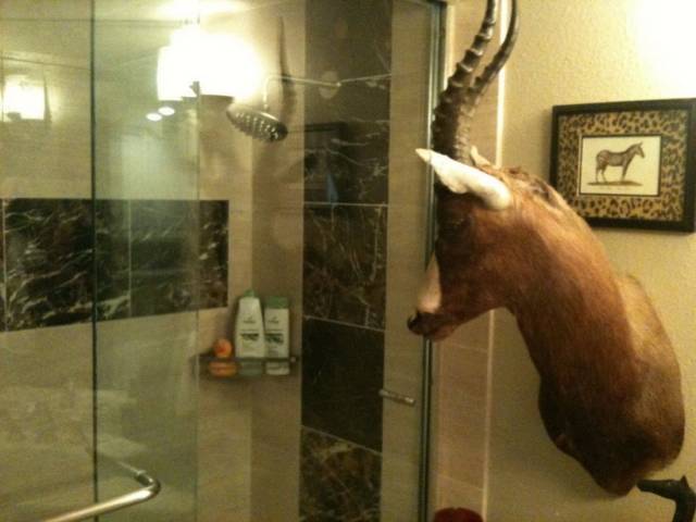 daily picdump 95 pics 38.html - 95 HD Photos | Premium Gallery 2018