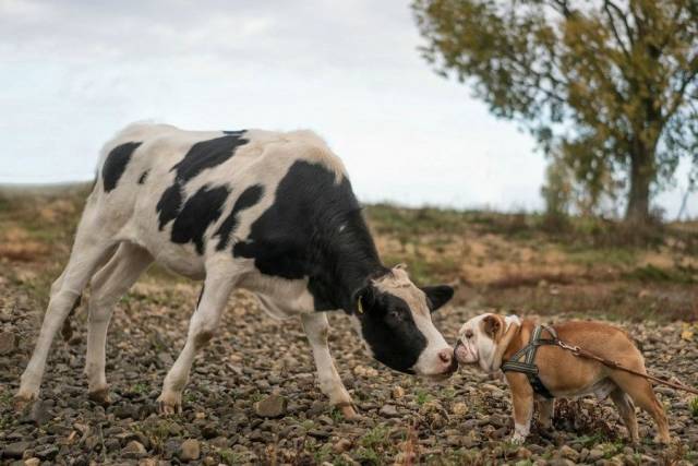 daily picdump 95 pics 38.html - 95 HD Photos | Premium Gallery 2018