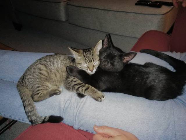 daily picdump 95 pics 38.html - 95 HD Photos | Premium Gallery 2018