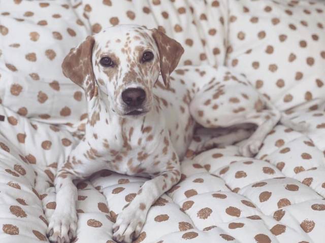 daily picdump 95 pics 38.html - 95 HD Photos | Premium Gallery 2018