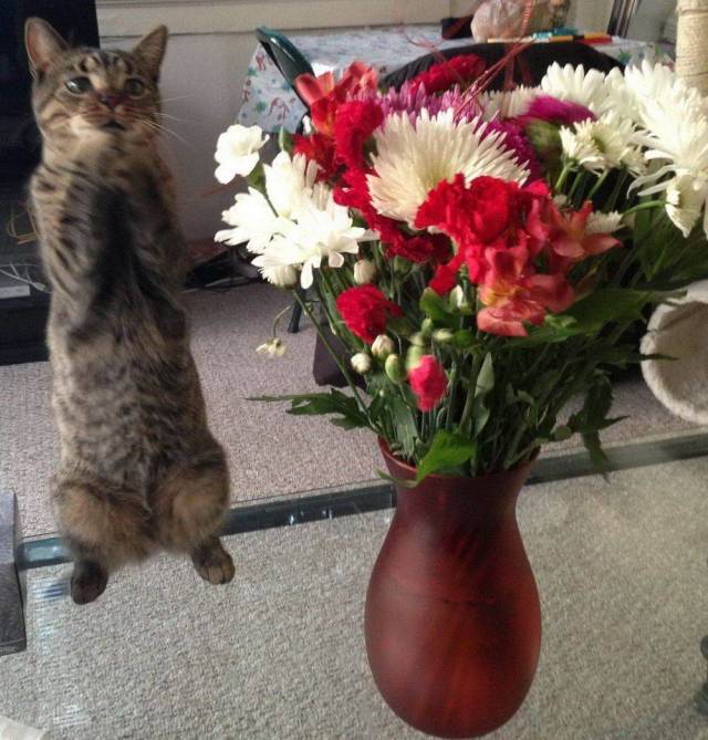 daily picdump 95 pics 38.html - 95 HD Photos | Premium Gallery 2018